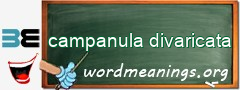 WordMeaning blackboard for campanula divaricata